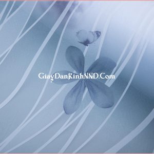 Giấy dán kính trang trí mã A14 với họa tiết là những bông hoa 5 cánh màu xanh đen và màu tím.