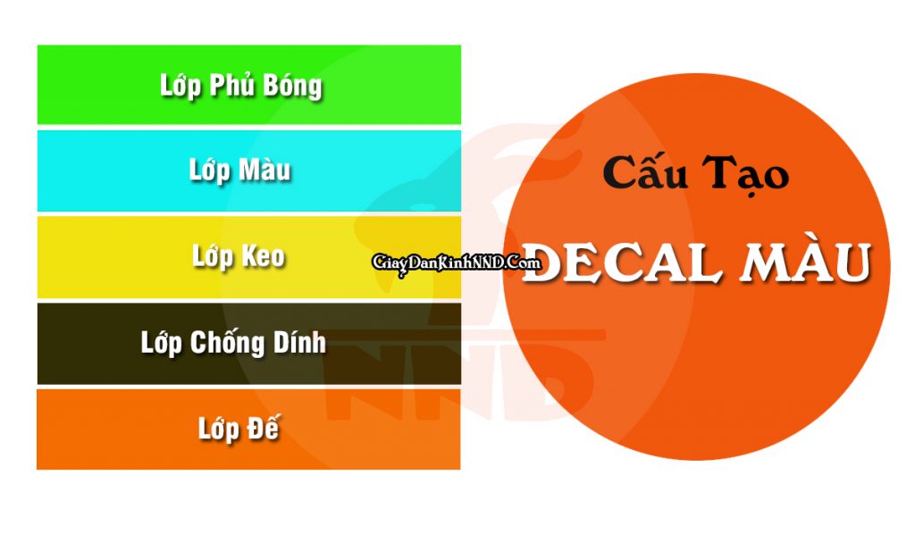 Decal màu có cấu tạo 4 lớp cơ bản giống các loại decal thông thường.