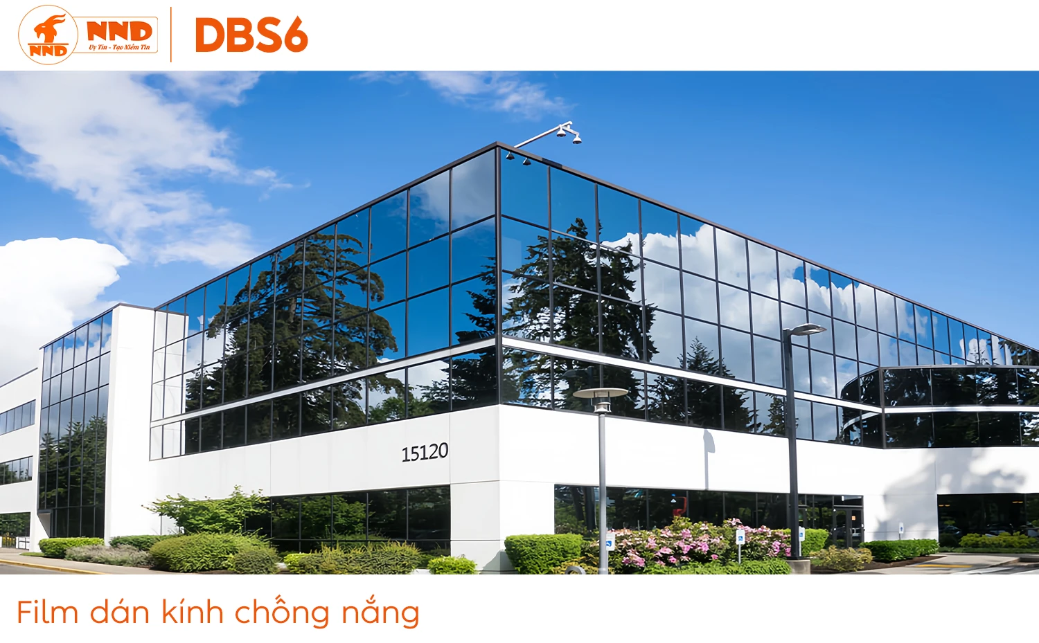 Góc nhìn từ ngoài nhìn vào 