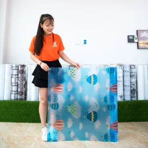 Giấy dán kính hoa văn hình khinh khí cầu mã A12