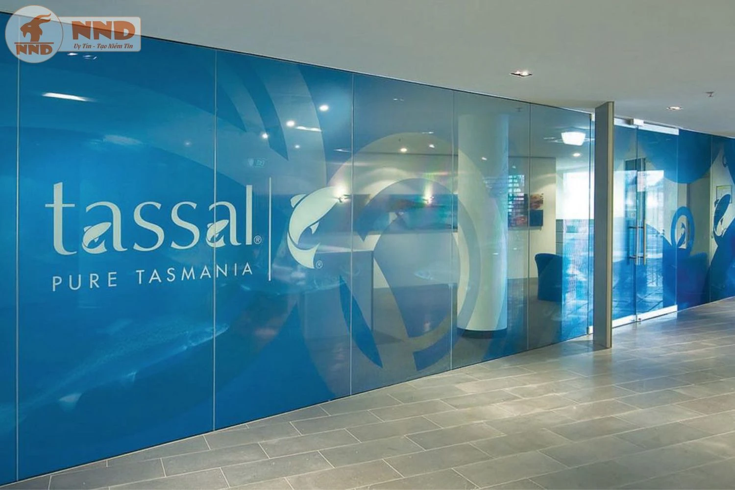 Decal kính hiện đại trong suốt