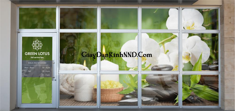 Tư vấn cách phối màu trang trí cho không gian spa đẹp và giới thiệu các mẫu tranh dán kính 3D cho Spa đẹp.