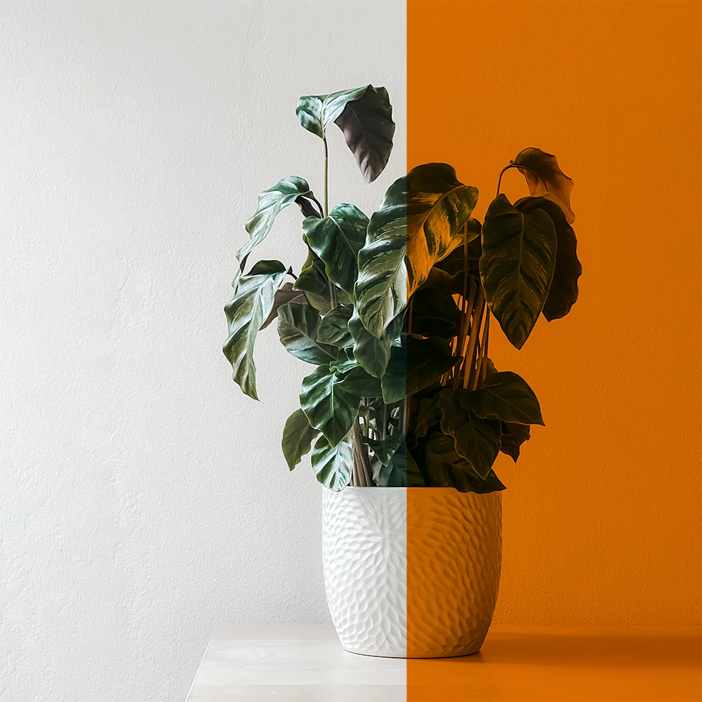 Phim dán kính màu cam mã BC-25OR