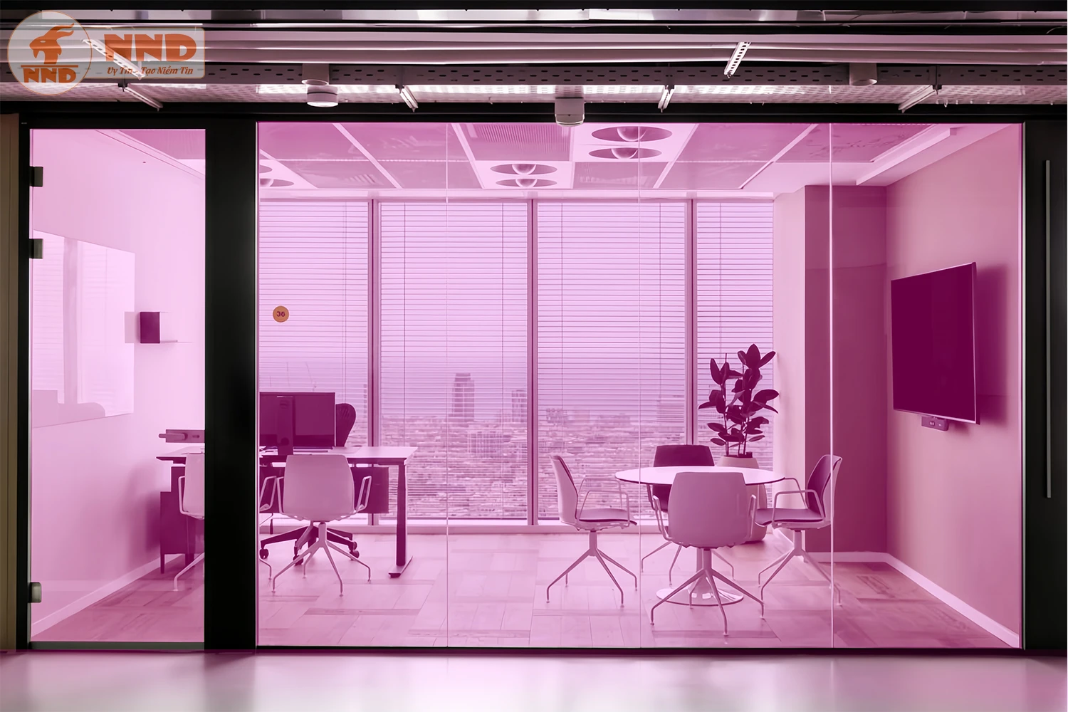 Phòng họp lớn với vách kính màu hồng và thiết kế đèn trần độc đáo