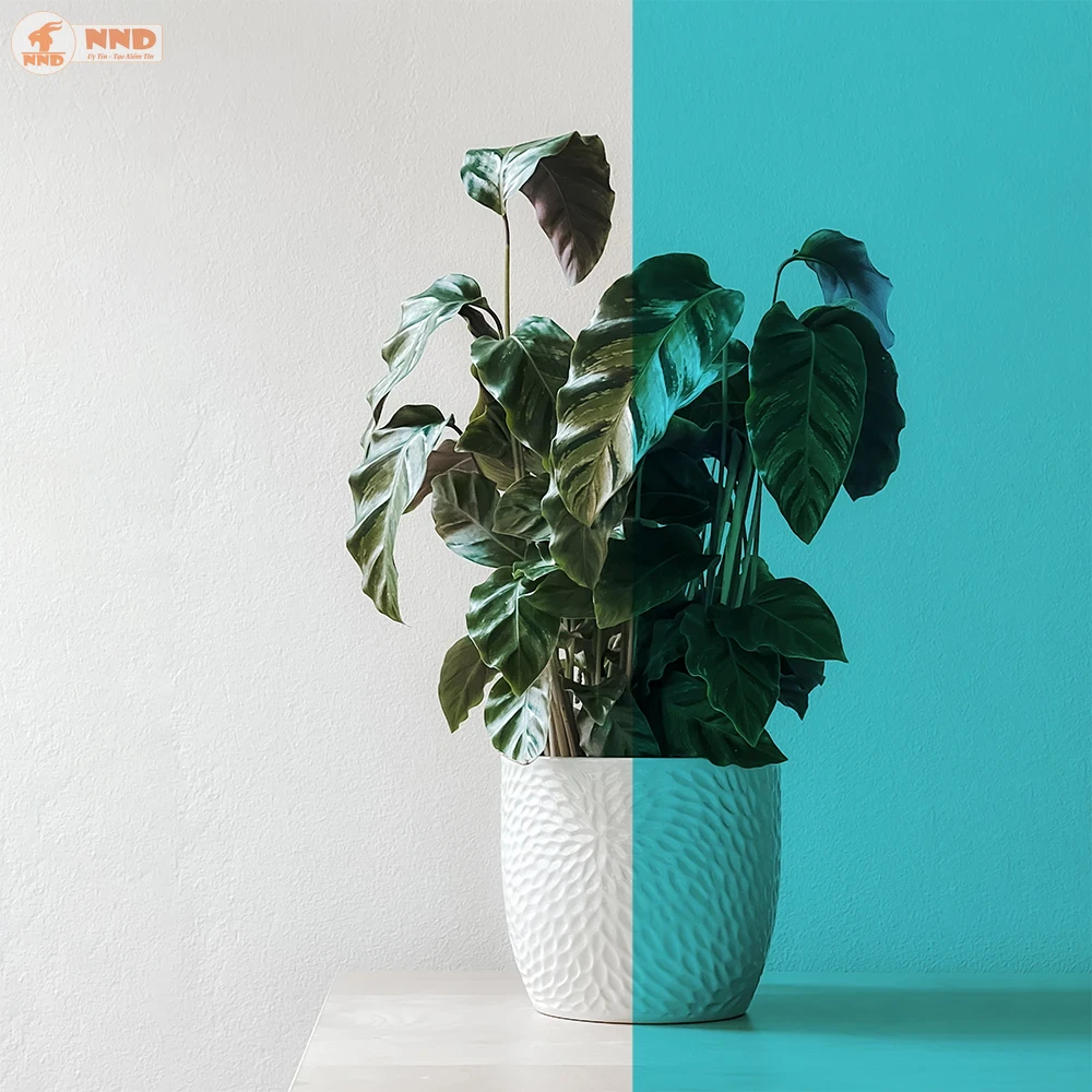 So sánh trước và sau khi dán phim BC-TKL