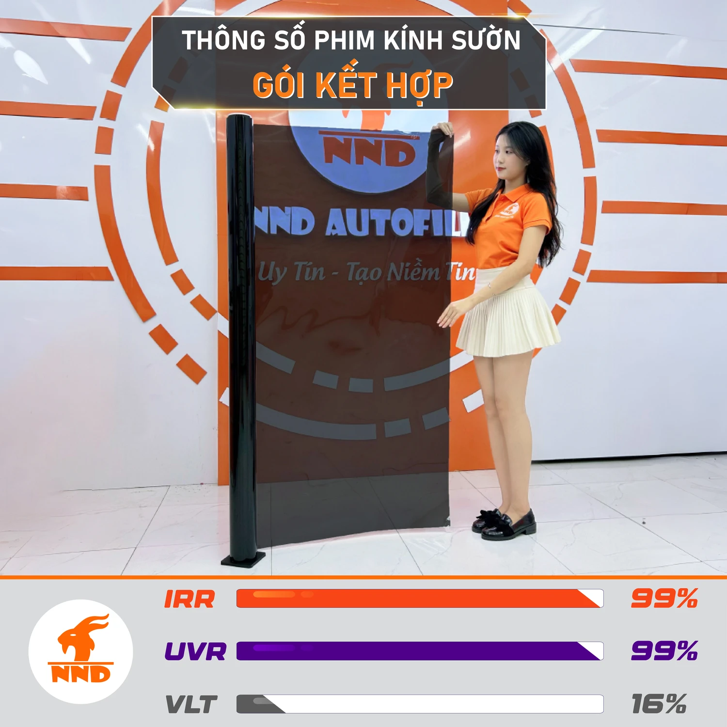 NC1599 KINH SUON GOI KET HOP