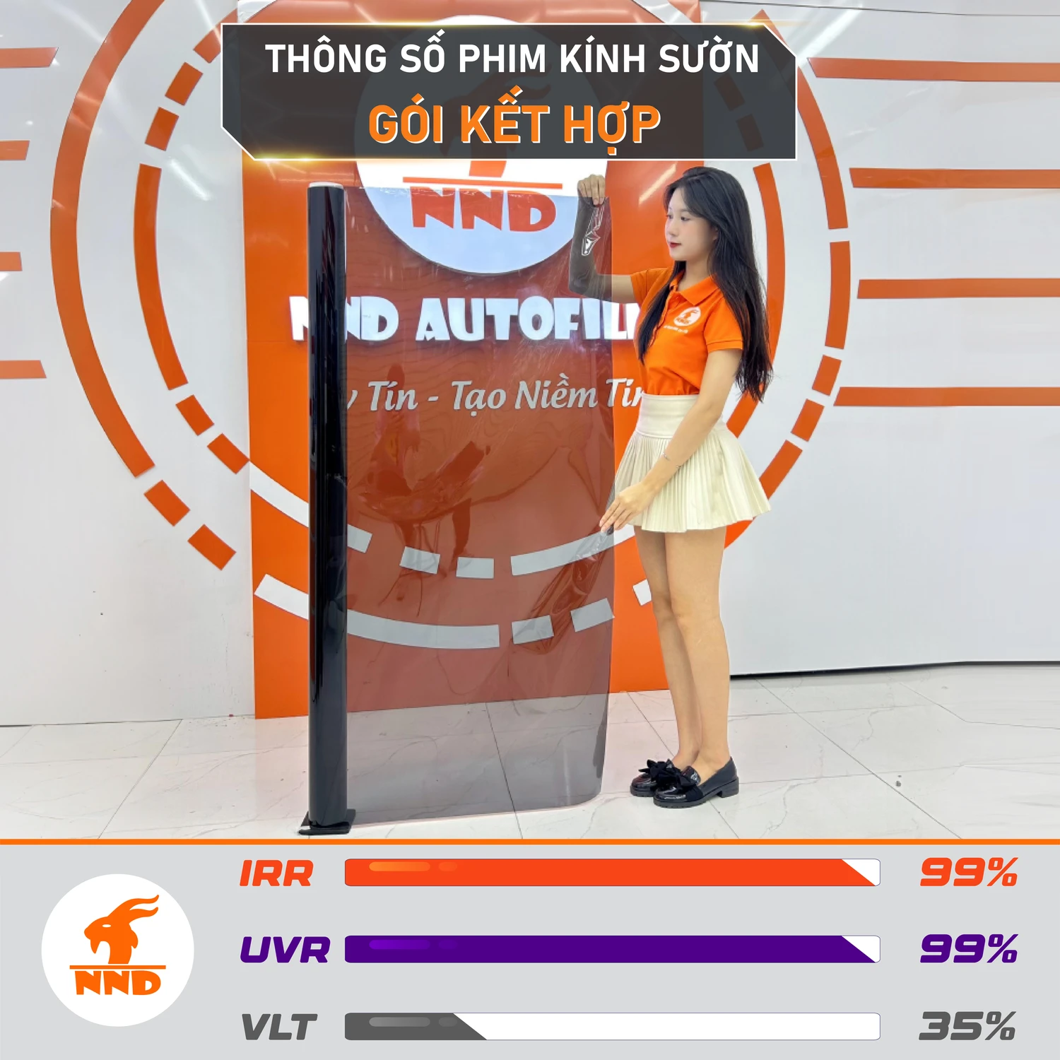 NC3599 KINH SUON GOI KET HOP