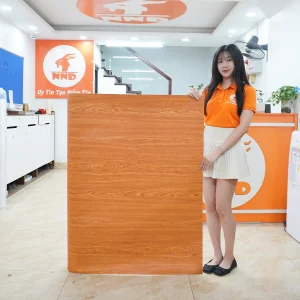 Vân Gỗ D2