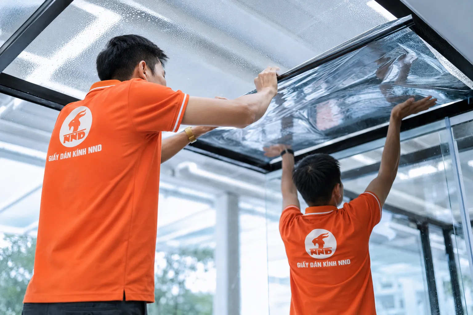 Hai kỹ thuật viên NND thi công phim cách nhiệt trên hệ mái kính bằng dụng cụ chuyên dụng.