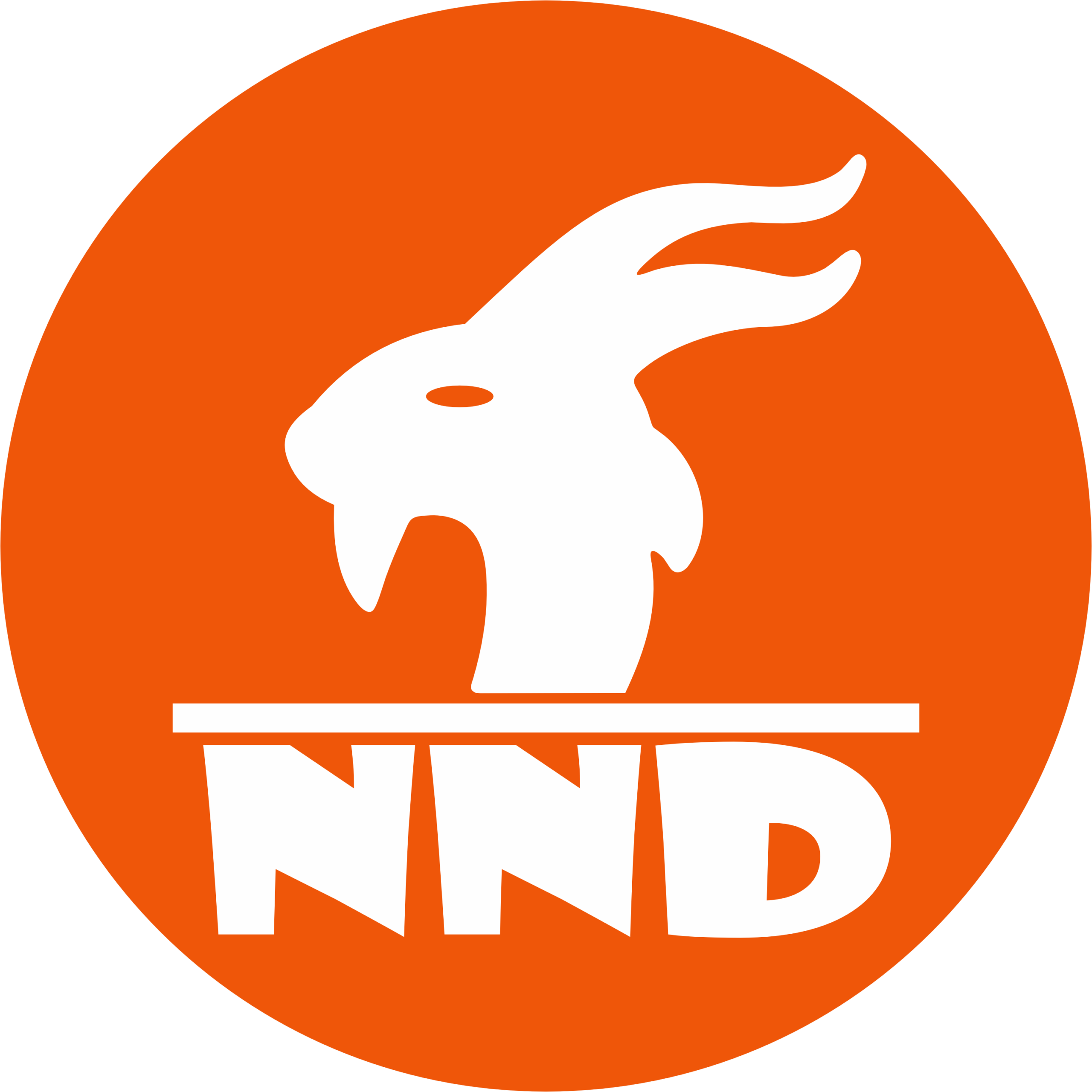NND Việt Nam