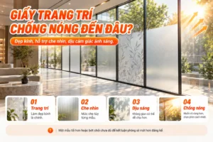 Infographic phân biệt công năng trang trí, che nhìn, dịu sáng và chống nóng của giấy dán kính trang trí