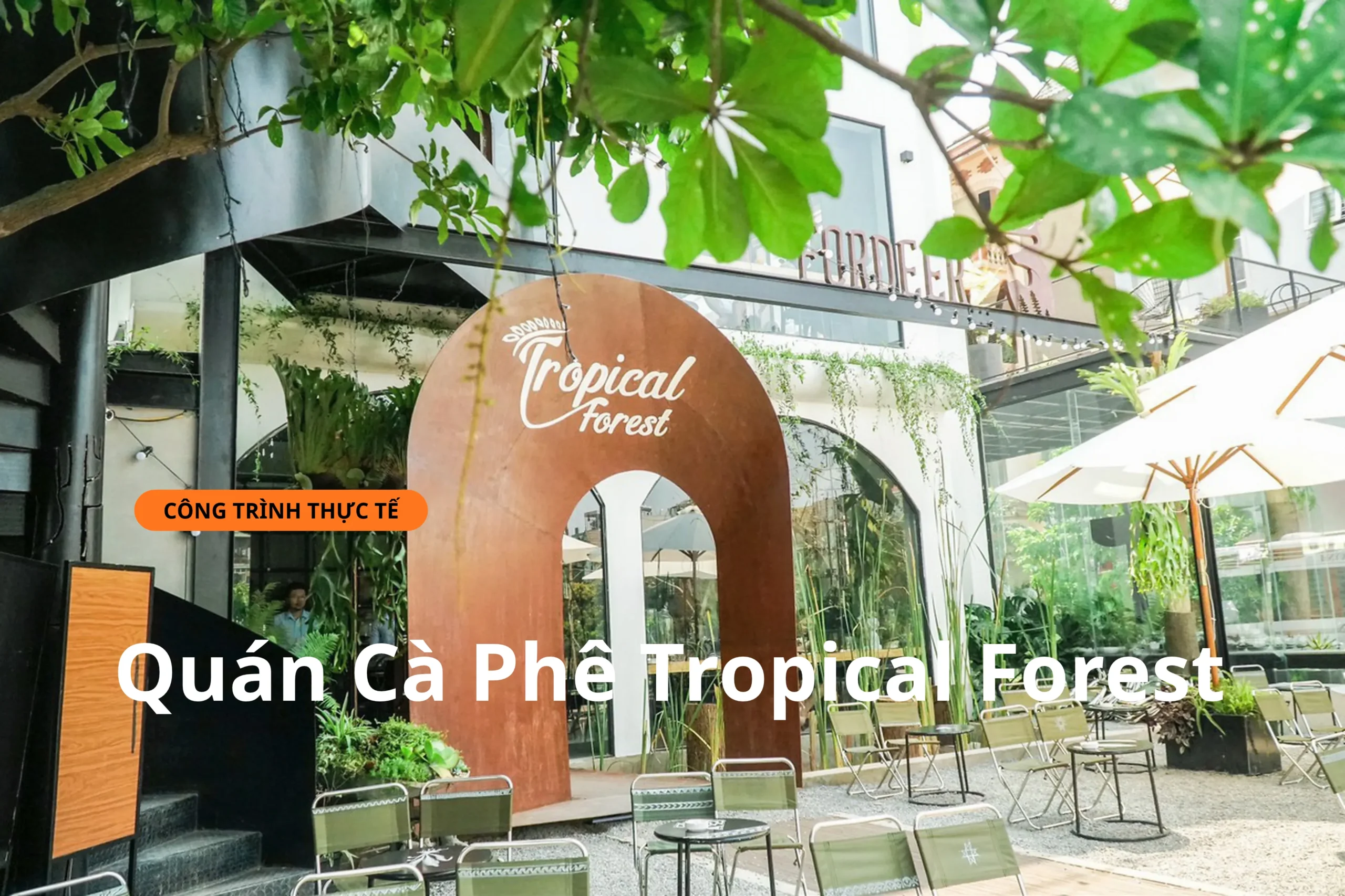 Công trình thực tế dán phim cách nhiệt quán cà phê Tropical Forest