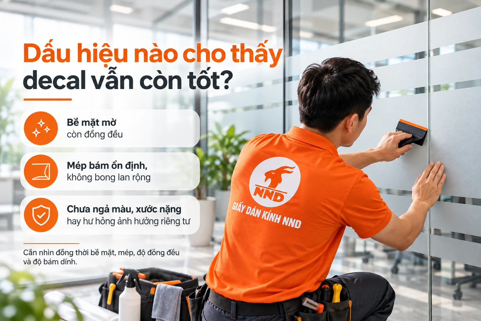 DAU-HIEU-NAO-CHO-THAY-DECAL-VAN-TOT