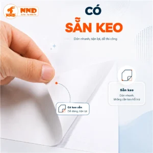 Decal trắng NND – mẫu tham khảo 8