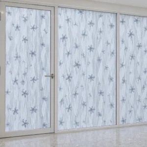 Hệ cửa và vách kính đã phủ hoa văn A14 không có người