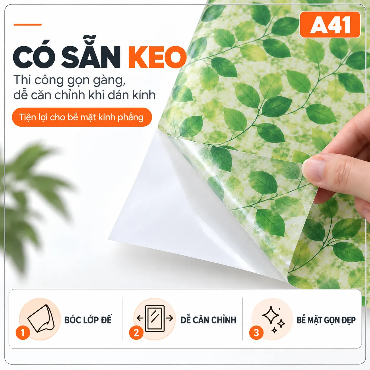 Giấy dán kính lá xanh A41 đang bóc lớp đế của decal lá xanh