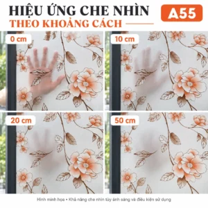 Bàn tay phía sau giấy dán kính hoa dây A55 tại khoảng cách 0, 10, 20 và 50 cm