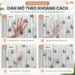 Ứng dụng giấy dán kính 3D CT3D-08 thực tế