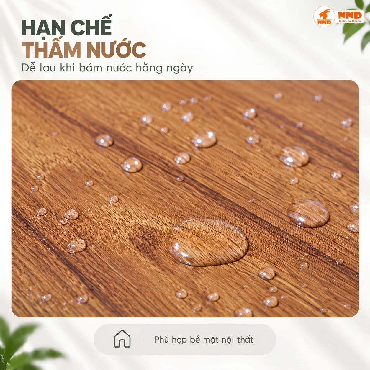 Decal G10 dán bàn tủ cửa nội thất