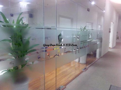 Kiểu dán mờ kẻ chỉ logo dán lửng ngang vách ngăn phòng cho phòng làm việc
